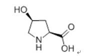 L-羥脯氨酸 來源、性質(zhì)與應(yīng)用